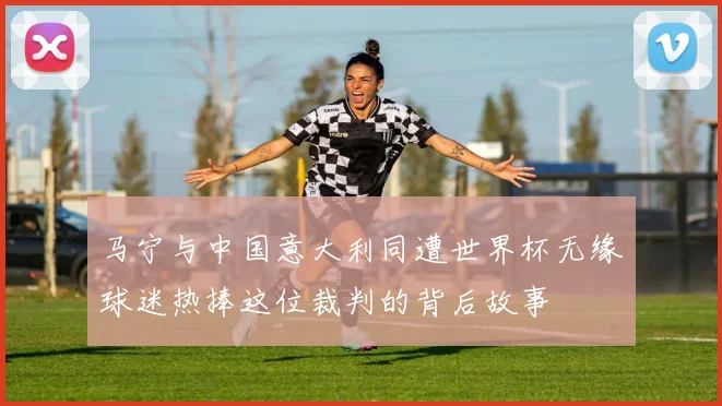 马宁与中国意大利同遭世界杯无缘球迷热捧这位裁判的背后故事