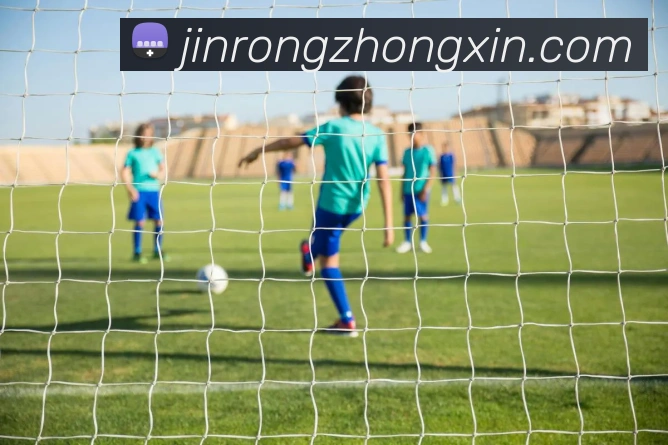 奖项证书